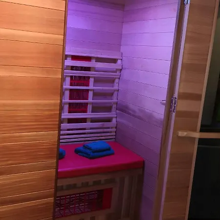 Luxurious In With Sauna Holiday home