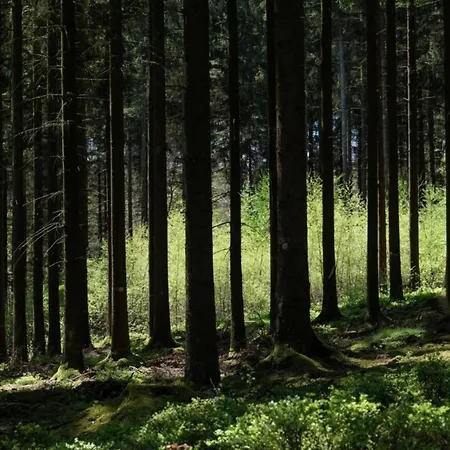 Luxurious In With Sauna Vakantiehuis Aywaille