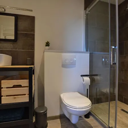 Luxurious In With Sauna Holiday home Aywaille